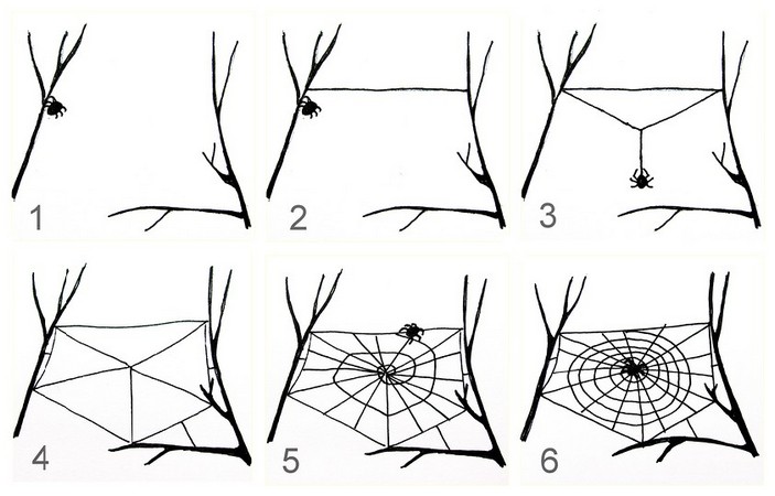 Pse merimangat endje një rrjetë?